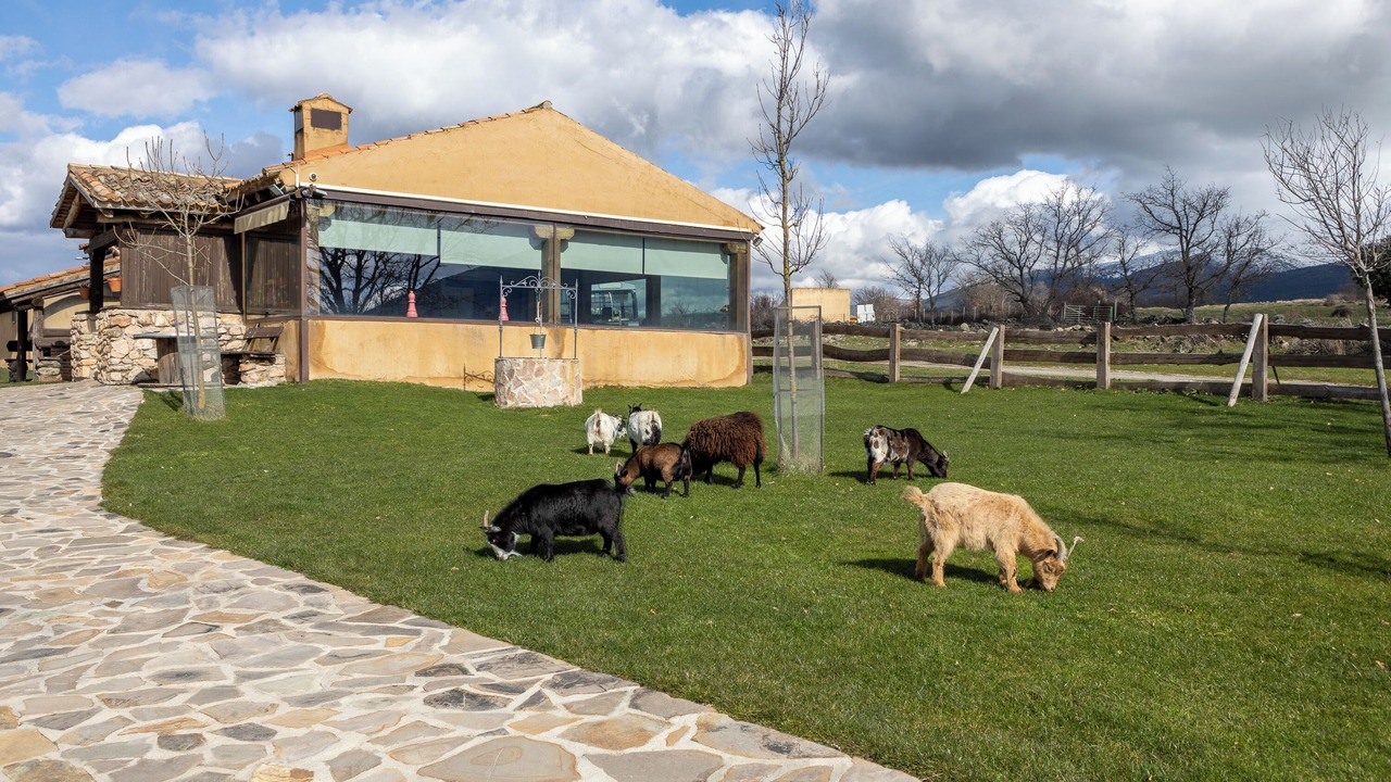Photo of Others in Santo Tome del Puerto