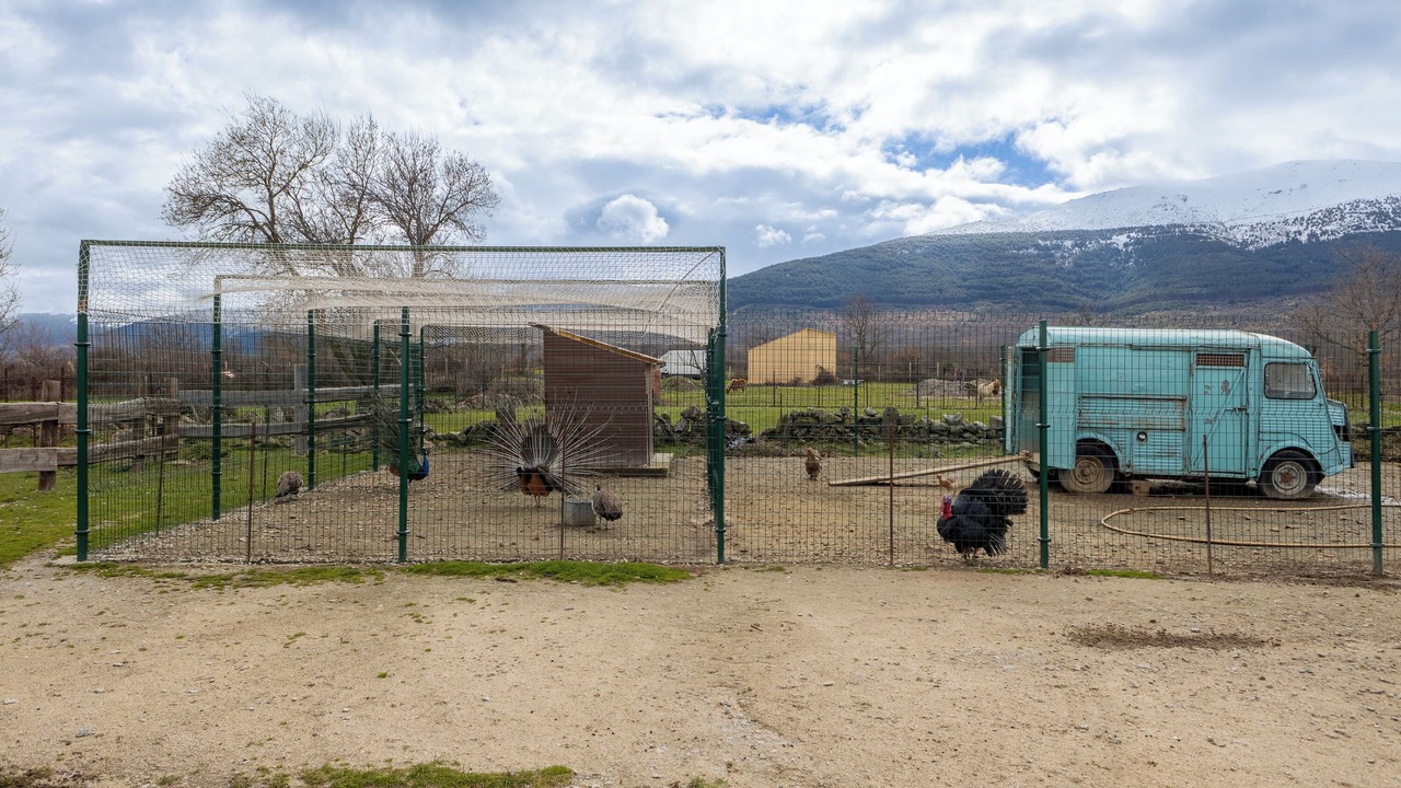 Photo of Outdoor in Santo Tome del Puerto