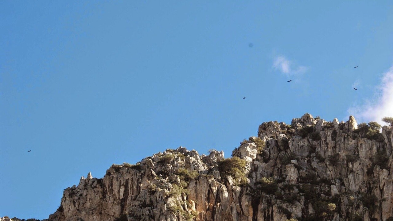 Photo of Others in Marina de Casares