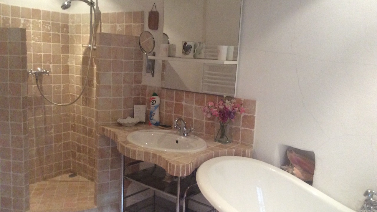 Photo of Bathroom in Montclus