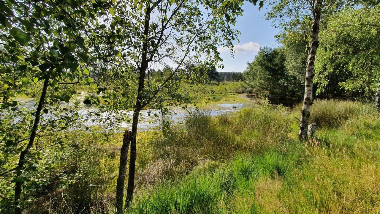 Photo of Others in Schneverdingen