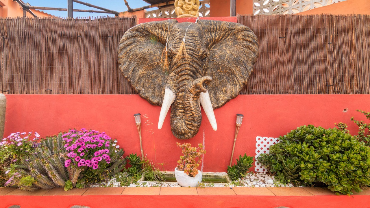 Photo of Outdoor in Las Brisas