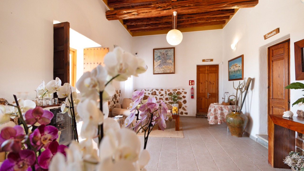 Photo of Others in Sant Carles de Peralta
