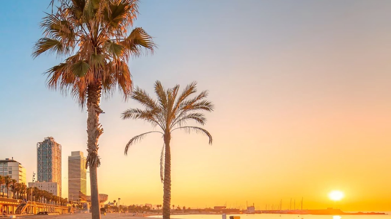 Photo of Others in Barceloneta