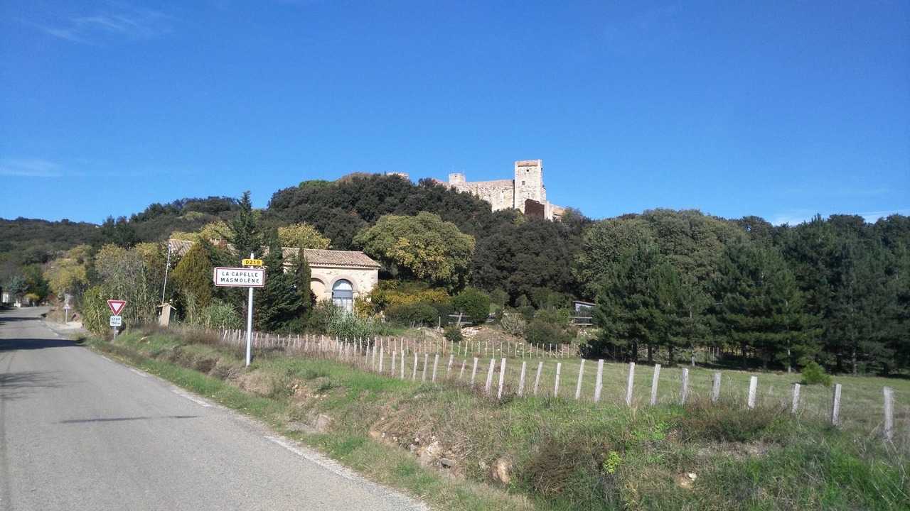 Photo of Others in La Capelle-et-Masmolene