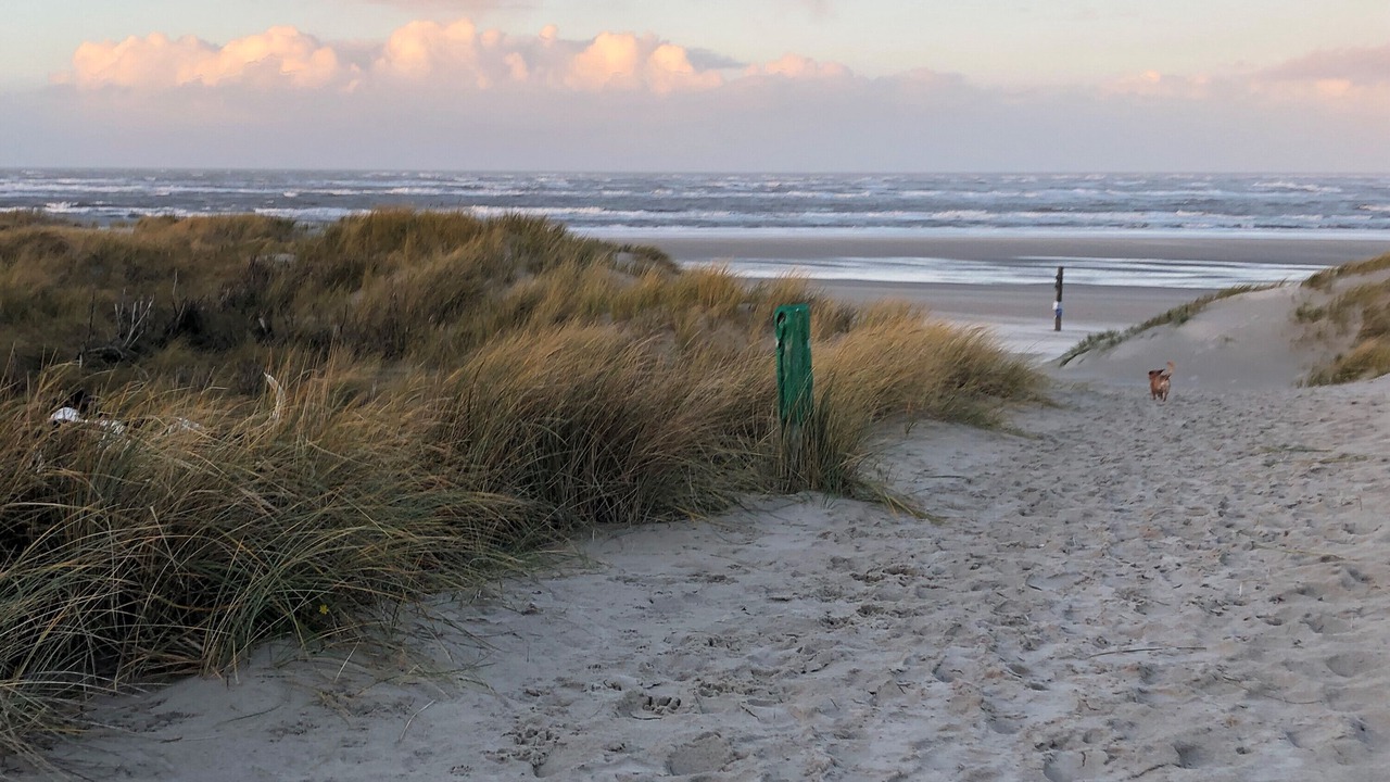 Photo of Others in Baltrum