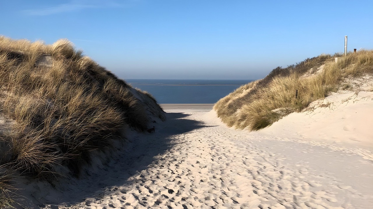 Photo of Others in Baltrum