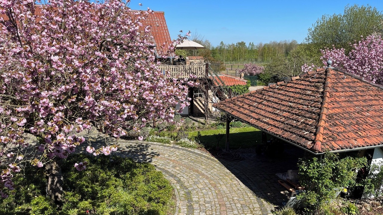 Photo of Outdoor in Beelitz