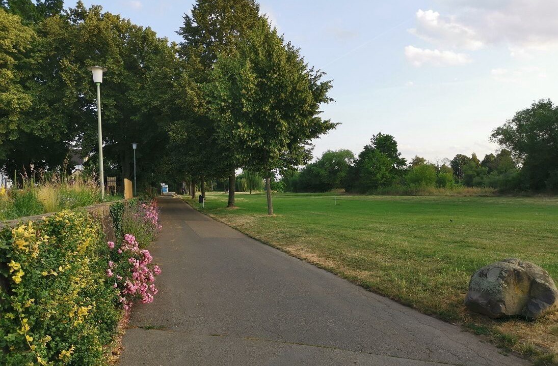 Photo of Others in Hanau