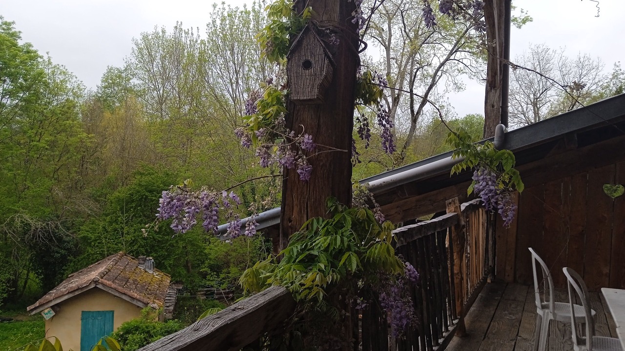 Photo of Outdoor in Lescure