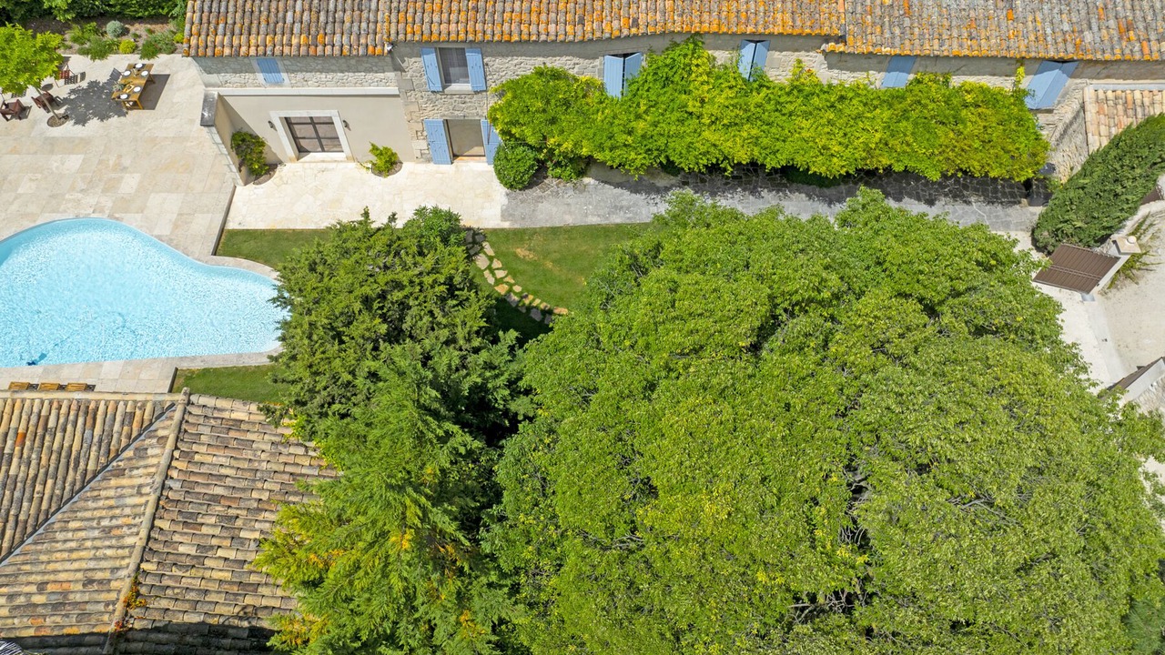 Photo of Others in Paradou