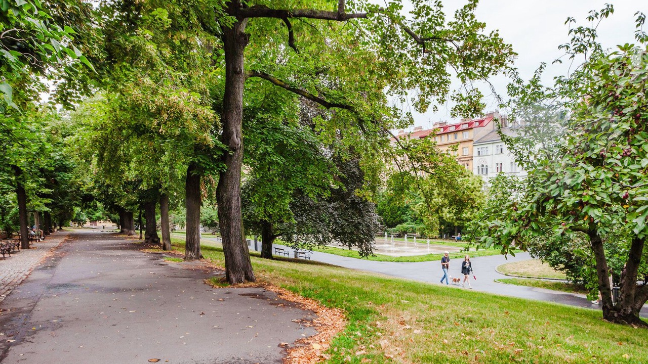 Photo of Others in Vinohrady