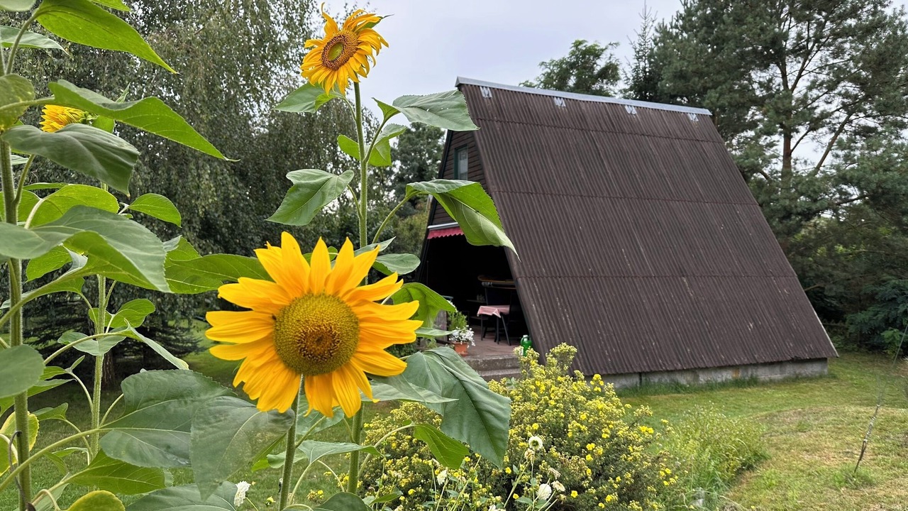 Photo of Outdoor in Lochow