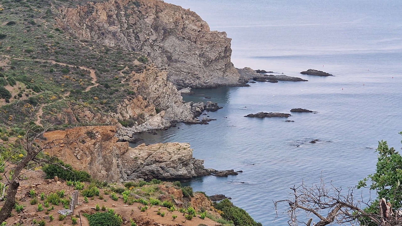 Photo of Others in Plage d'Argeles