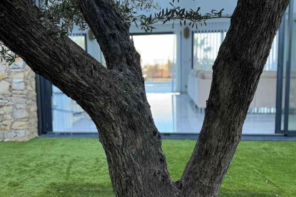 Photo of Outdoor in Quartier des Espesses