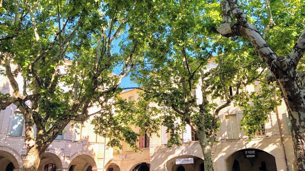 Photo of Outdoor in La Calmette