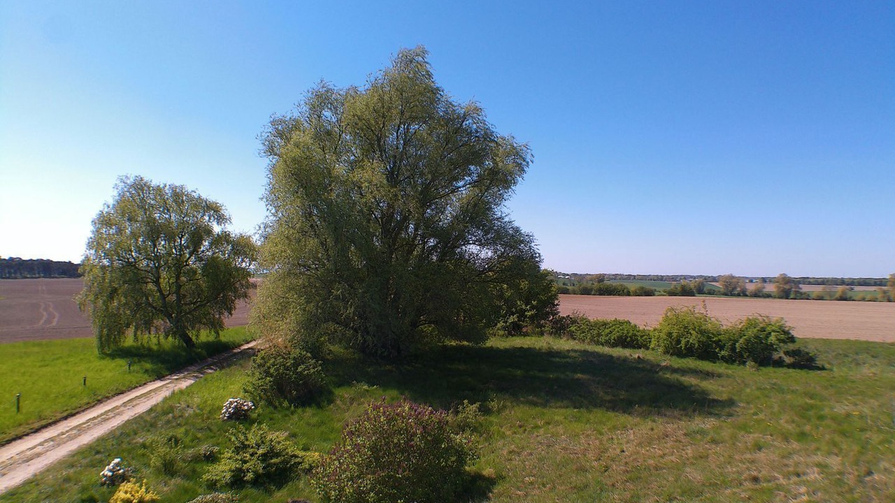 Photo of Others in Stolpe