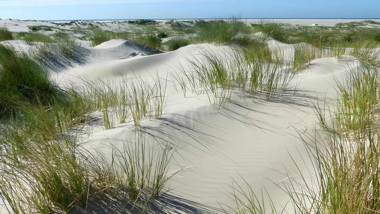 Photo of Others in Borkum