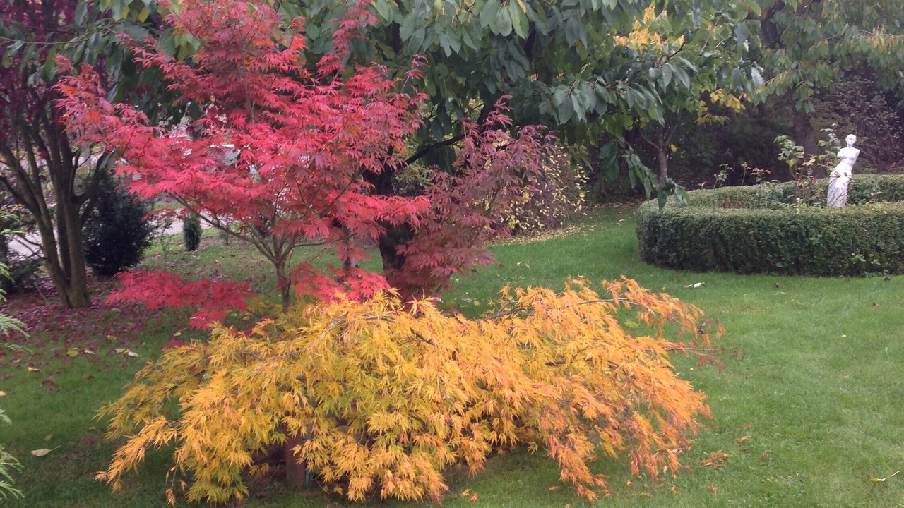 Photo of Outdoor in Haldensleben