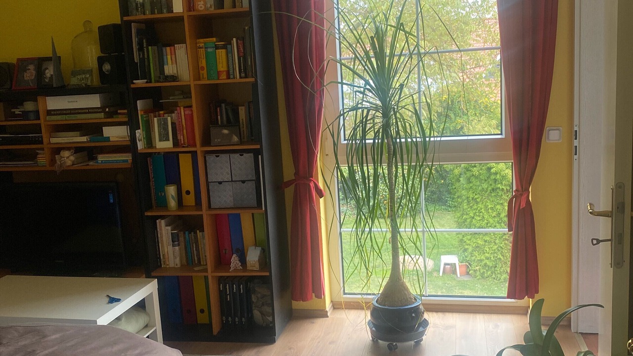Photo of Bedroom in Haldensleben
