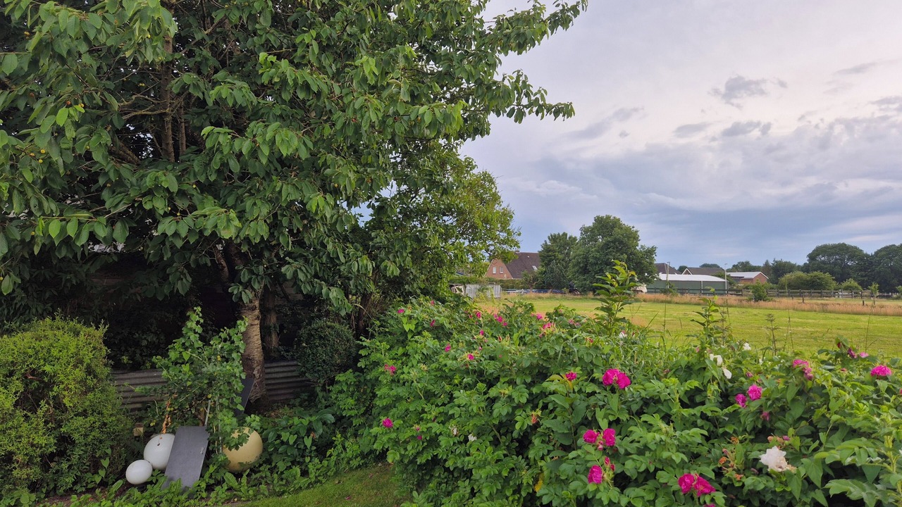 Photo of Outdoor in Hattstedtermarsch