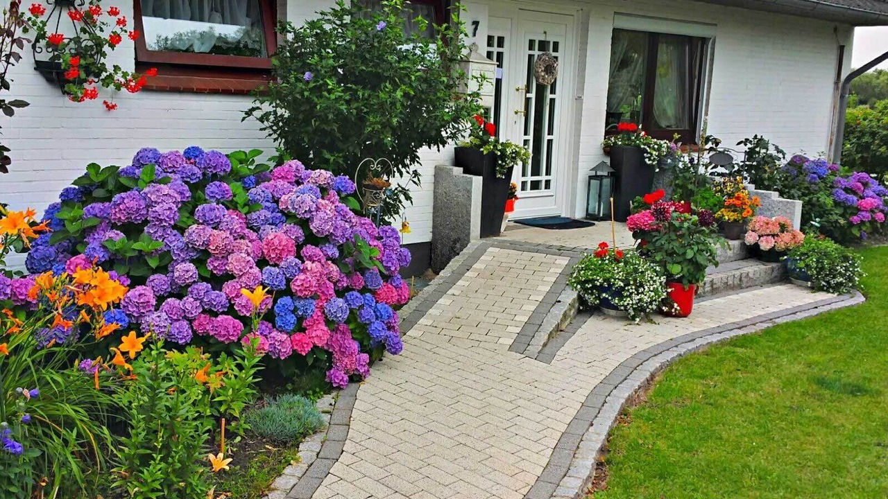 Photo of Outdoor in Hattstedtermarsch