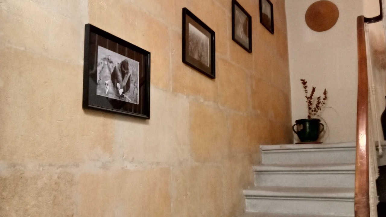 Photo of Others in Redessan