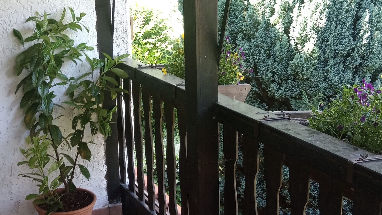 Photo of Patio Balcony in Werder