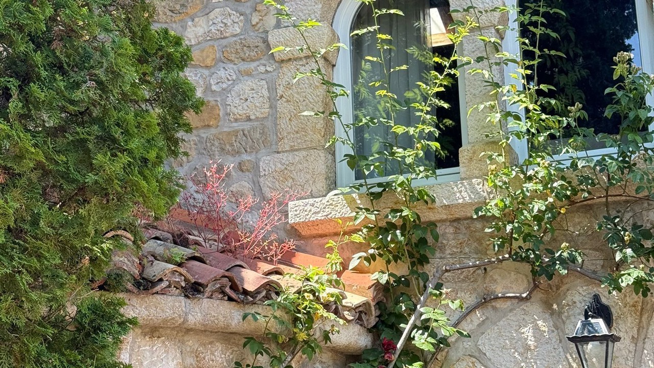 Photo of Others in Gex