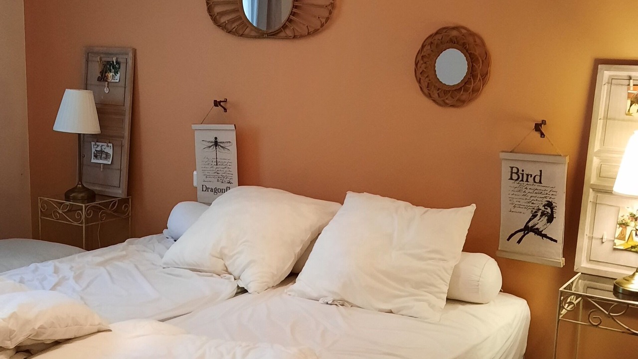 Photo of Bedroom in Eyragues