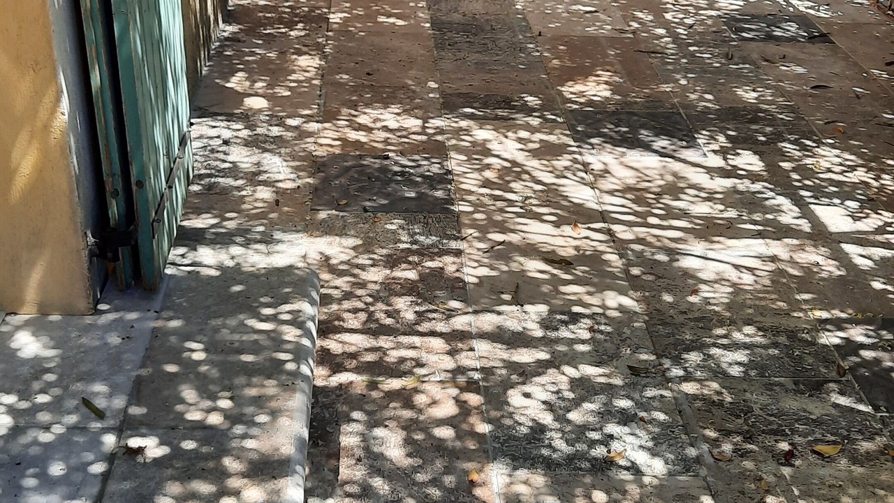 Photo of Outdoor in Eyragues