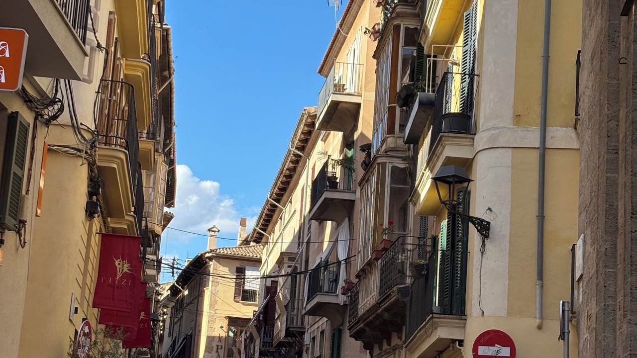 Photo of Others in La Llotja-Born