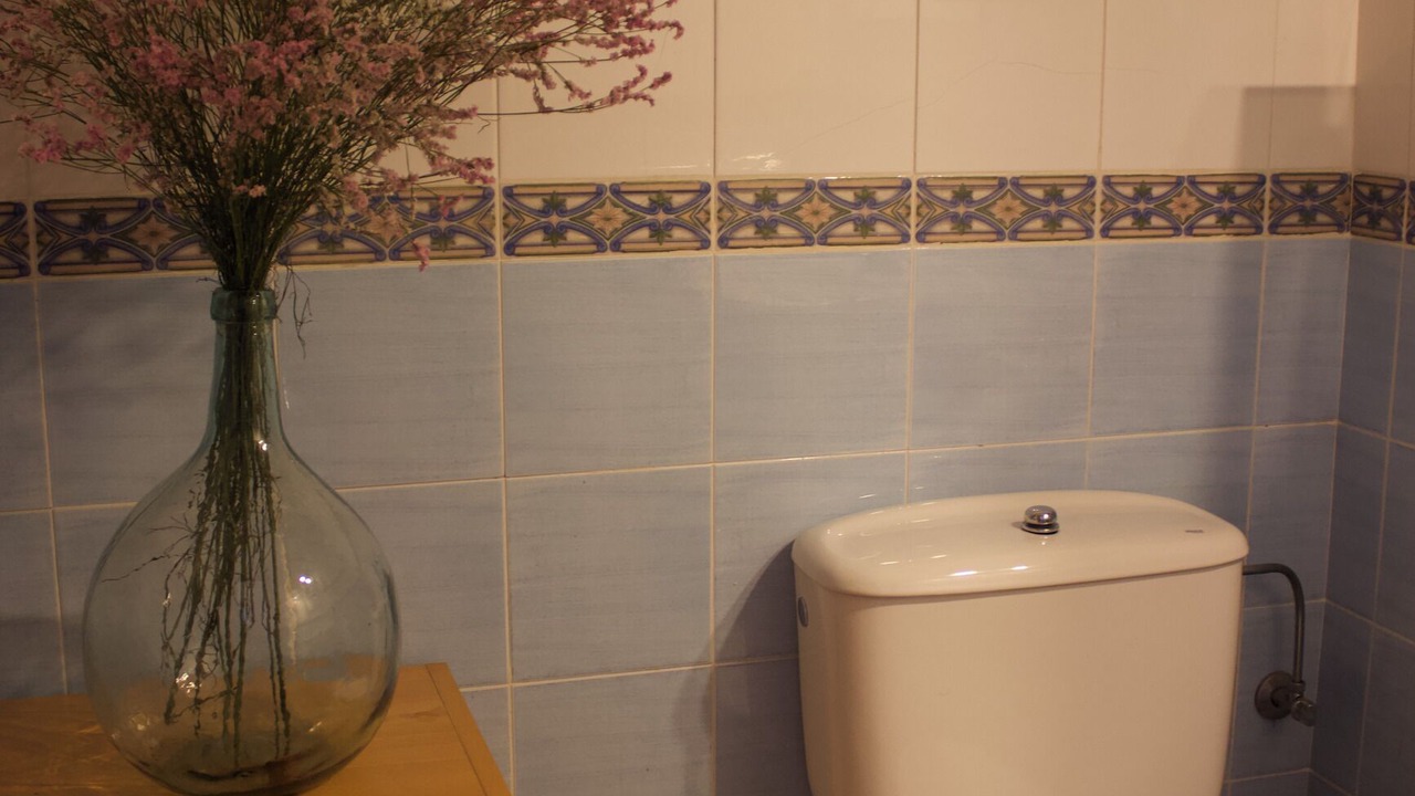 Photo of Bathroom in Sant Llorenc de la Muga