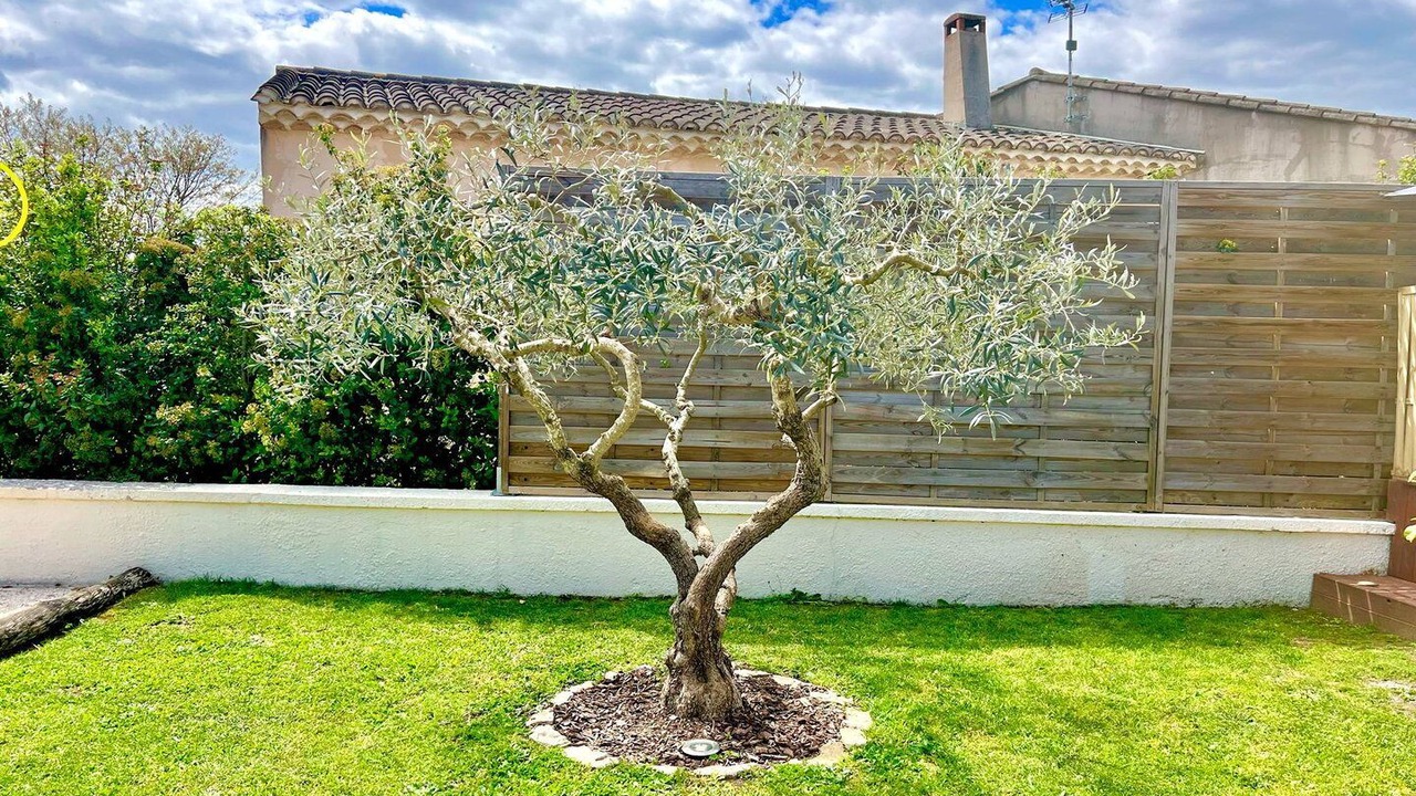 Photo of Outdoor in Moussac