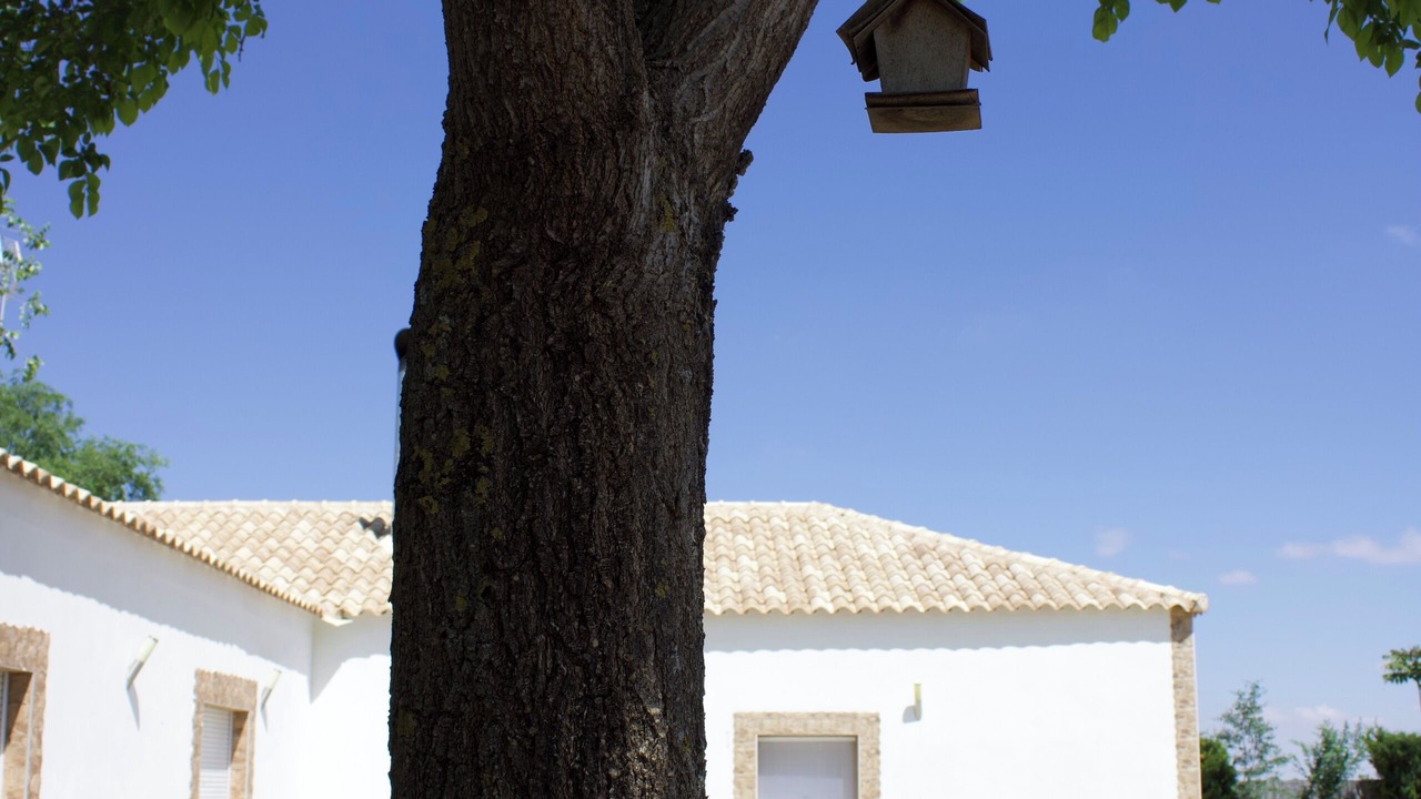 Photo of Outdoor in Tomelloso
