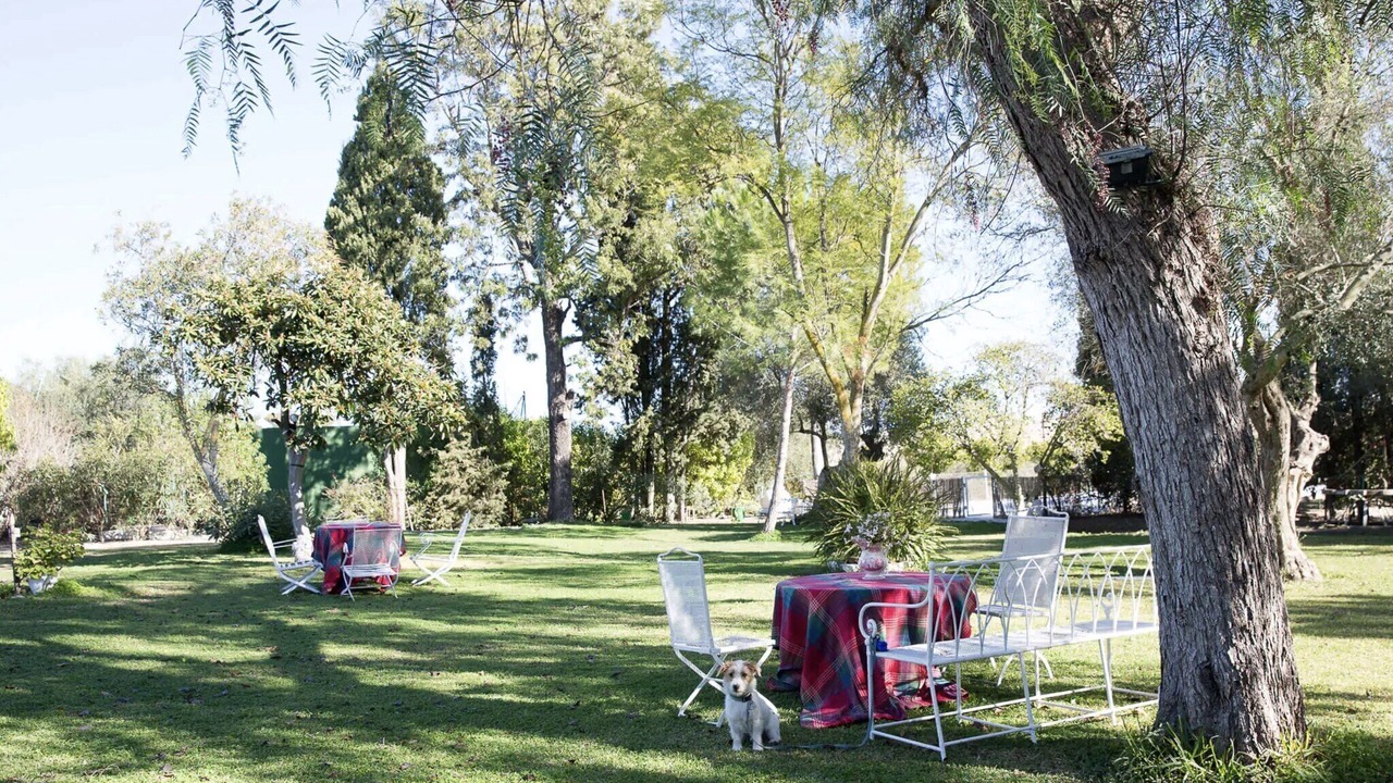 Photo of Outdoor in Jerez de la Frontera