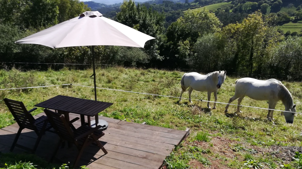 Photo of Outdoor in Pivierda