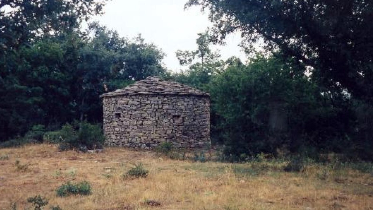 Photo of Others in San Andres de Soria
