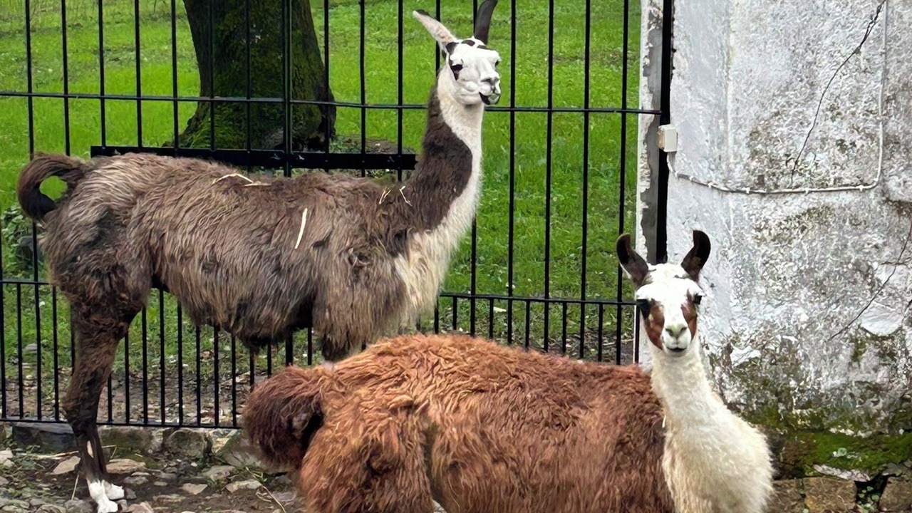Photo of Others in Aracena
