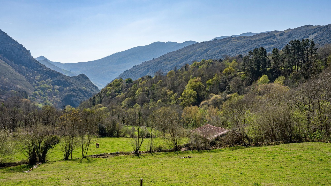 Photo of Others in Penamellera Alta