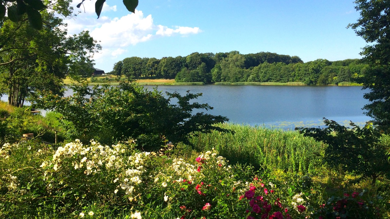 Photo of Others in Ponitz am See