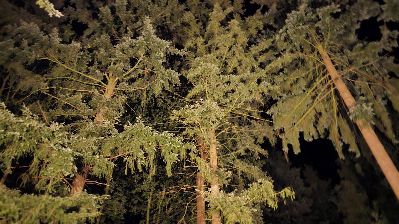 Photo of Outdoor in Sandhatten