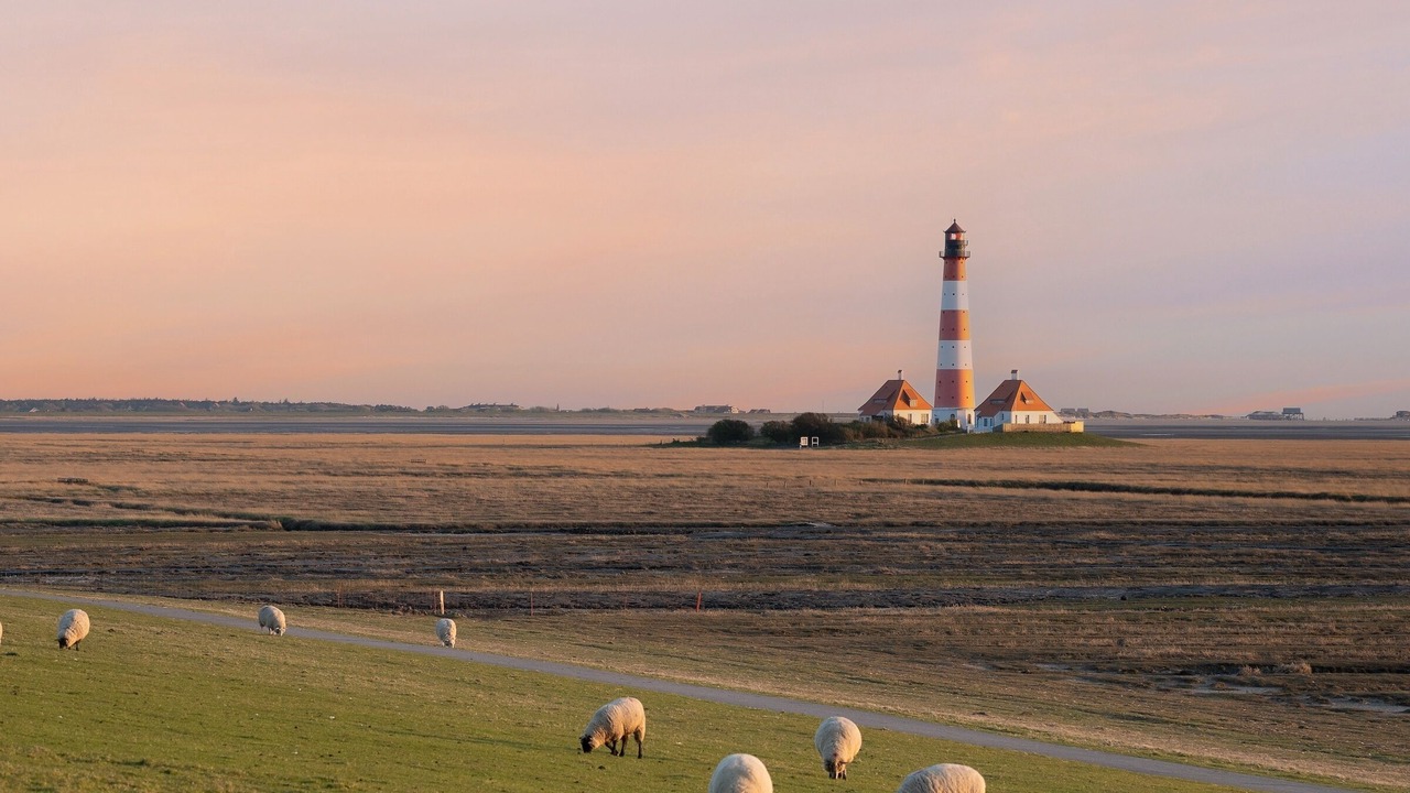 Photo of Others in Westerhever
