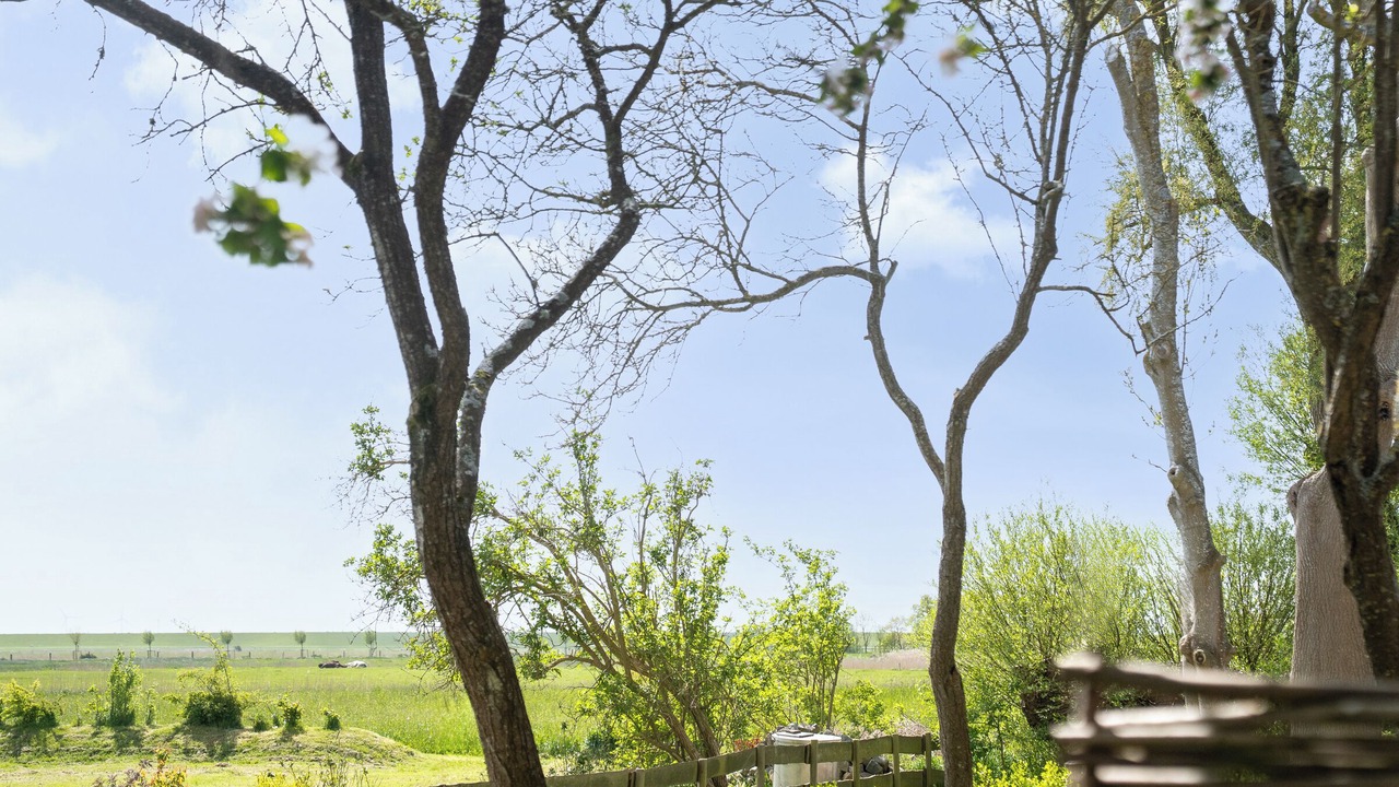 Photo of Outdoor in Westerhever