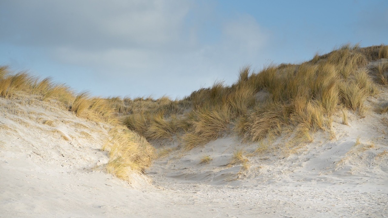 Photo of Others in Westerhever