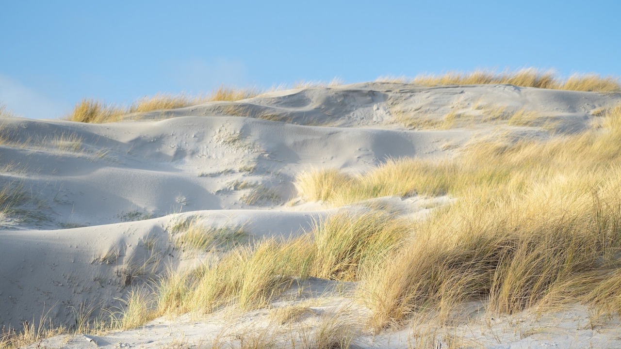 Photo of Others in Westerhever