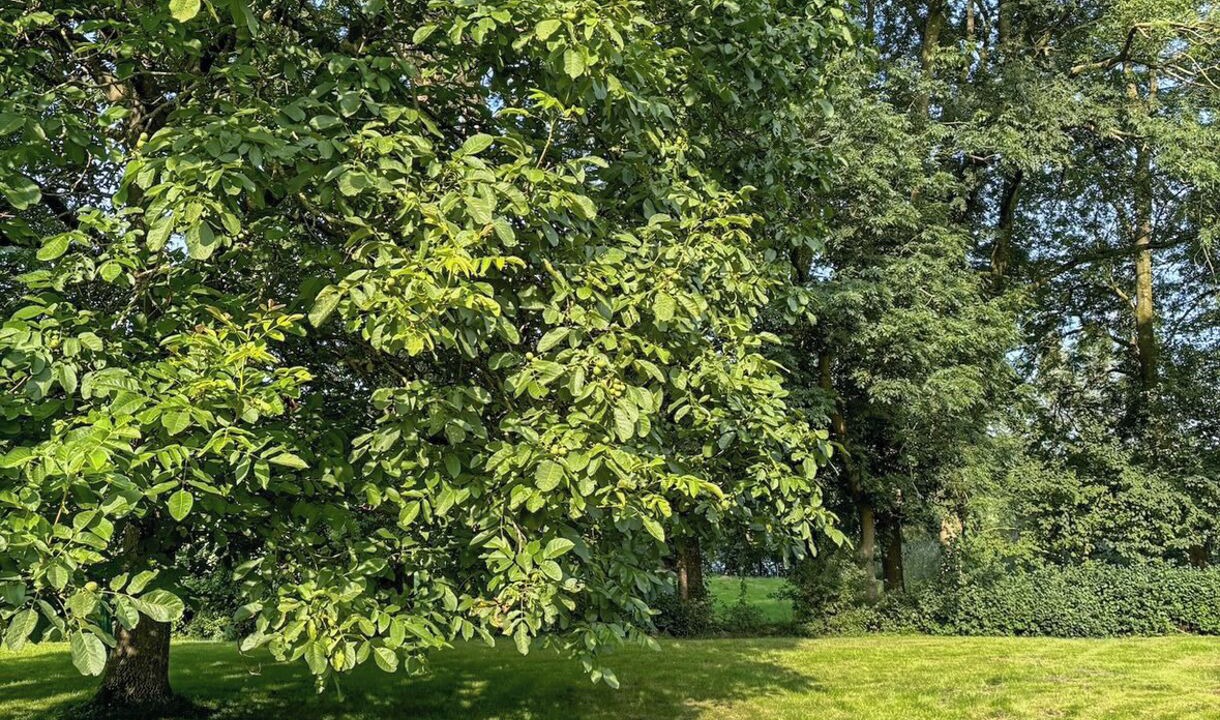 Photo of Outdoor in Ostenfeld