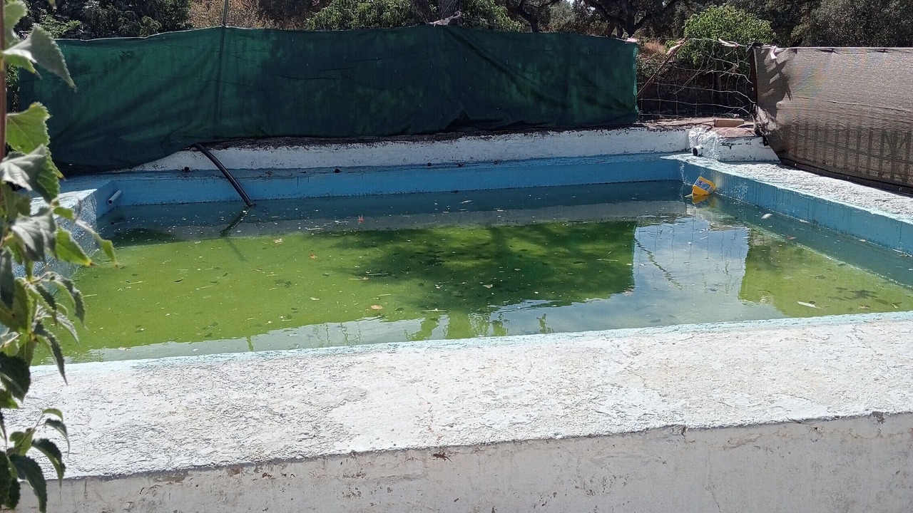 Photo of Outdoor in Santa Olalla del Cala