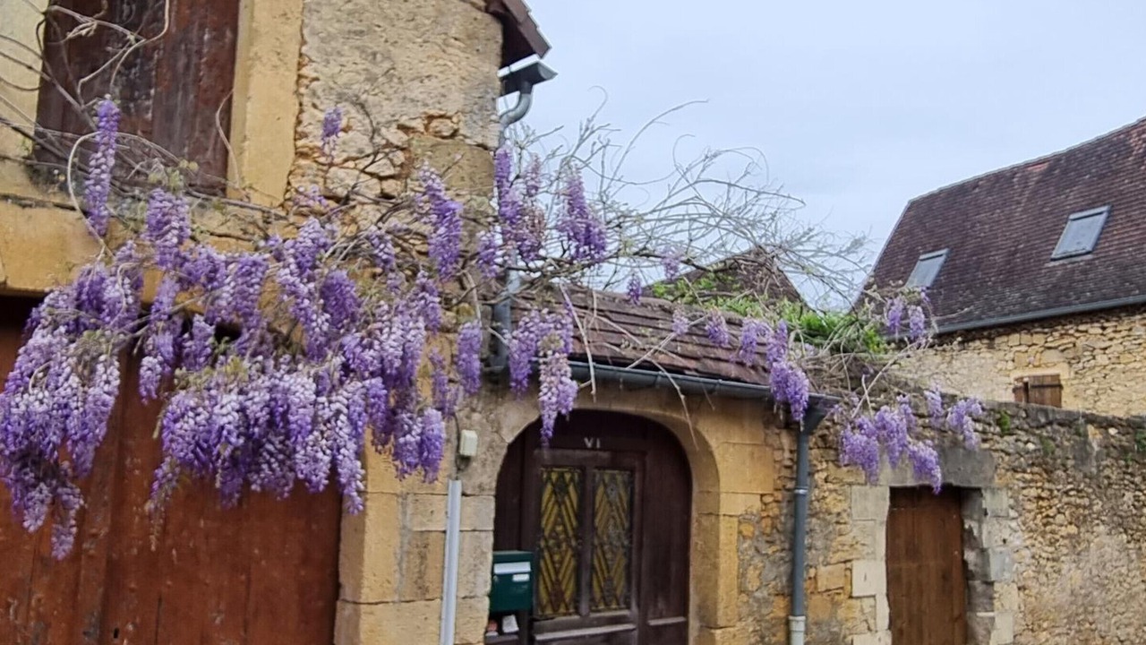 Photo of Outdoor in Auriac-du-Perigord