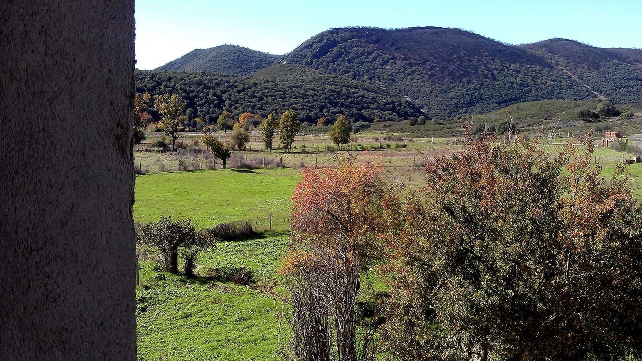 Photo of Others in Navas de Estena